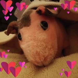 Meet your Posher, Kristy